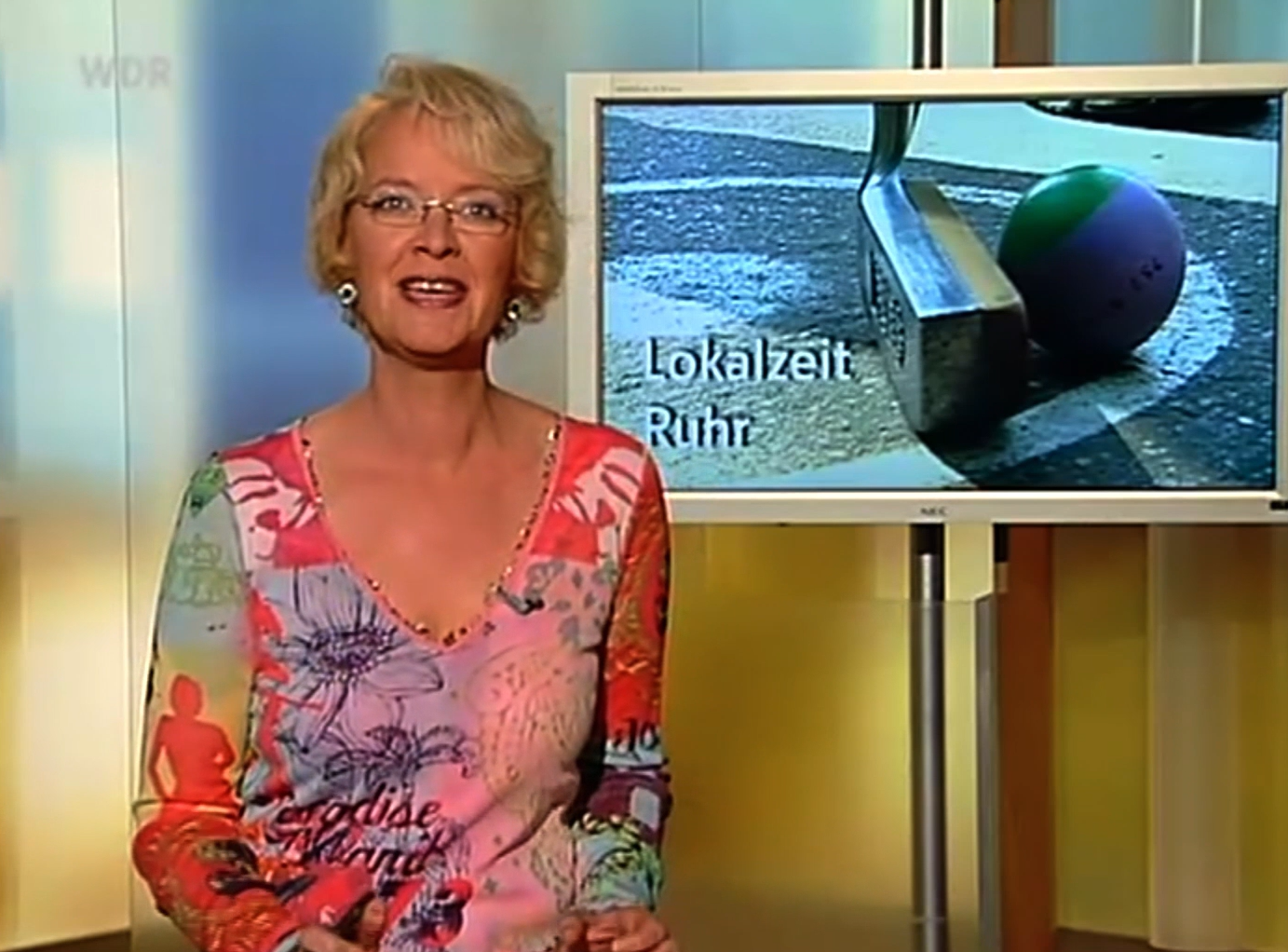 DM 2007, WDR LOKALZEIT